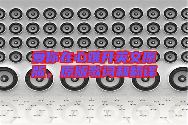 愛你在心難開英文原版,原版歌詞和翻譯