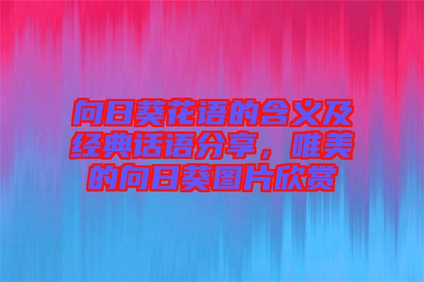 向日葵花語的含義及經典話語分享，唯美的向日葵圖片欣賞