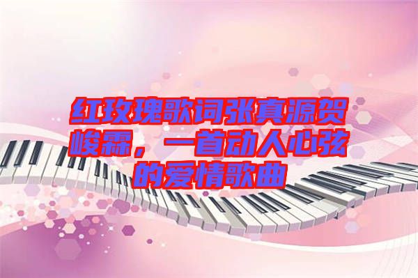 紅玫瑰歌詞張真源賀峻霖，一首動(dòng)人心弦的愛情歌曲