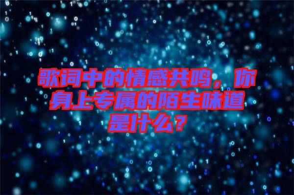 歌詞中的情感共鳴，你身上專屬的陌生味道是什么？