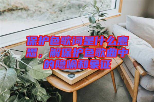 保護色歌詞是什么意思,解保護色歌曲中的隱喻和象征