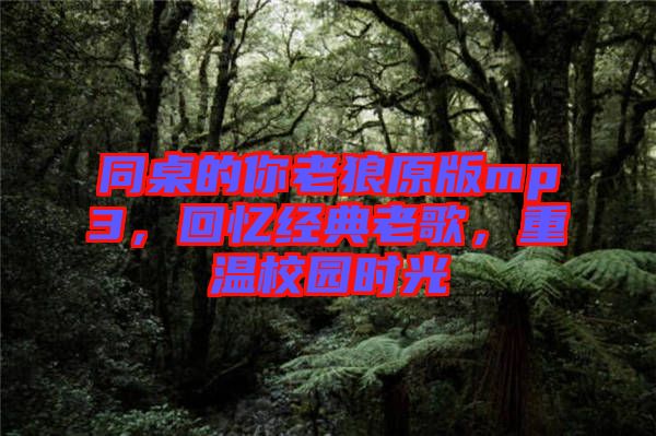 同桌的你老狼原版mp3，回憶經(jīng)典老歌，重溫校園時(shí)光