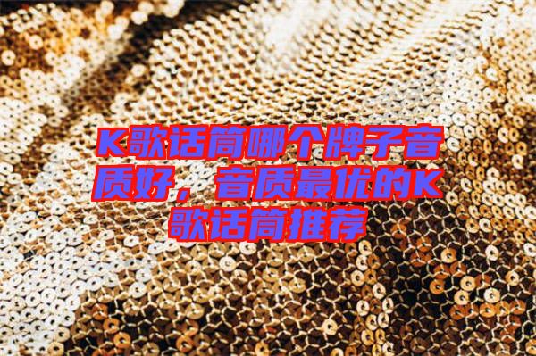 K歌話筒哪個牌子音質好，音質最優的K歌話筒推薦