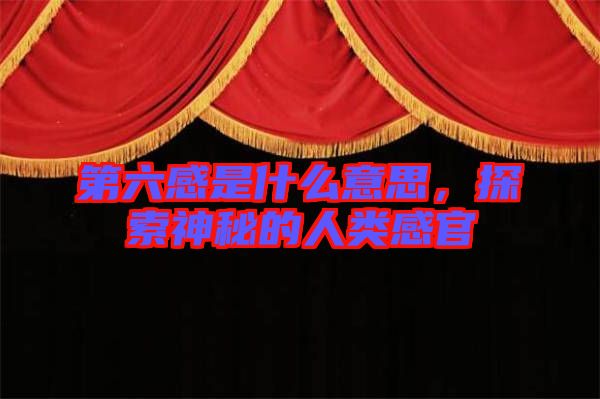 第六感是什么意思,探索神秘的人類感官
