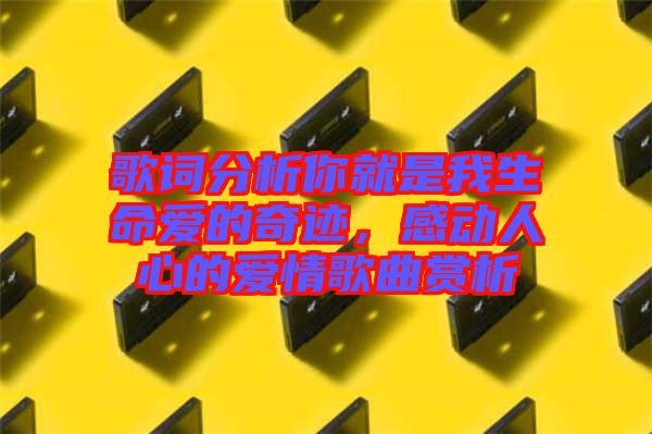 歌詞分析你就是我生命愛的奇跡，感動人心的愛情歌曲賞析