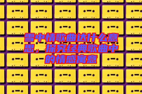 雪中情歌曲達什么意思,探究經典歌曲中的情感寓意