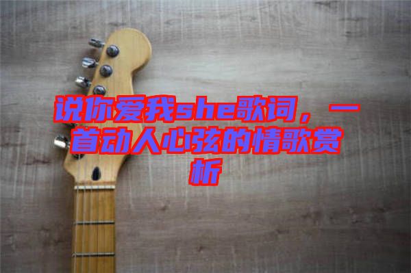 說你愛我she歌詞，一首動人心弦的情歌賞析
