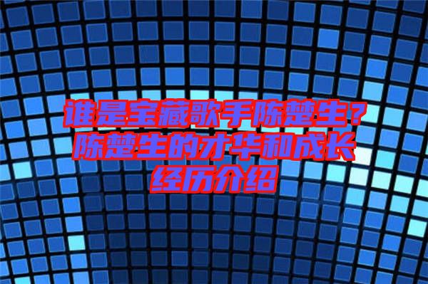 誰是寶藏歌手陳楚生?陳楚生的才華和成長經歷介紹