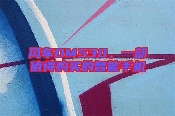 風車DM530，一部值得購買的智能手機