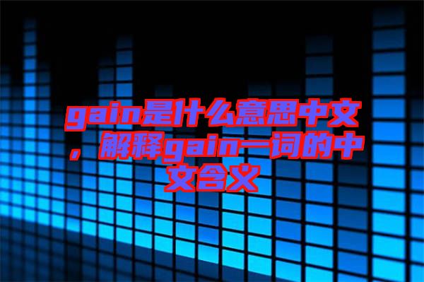 gain是什么意思中文，解釋gain一詞的中文含義