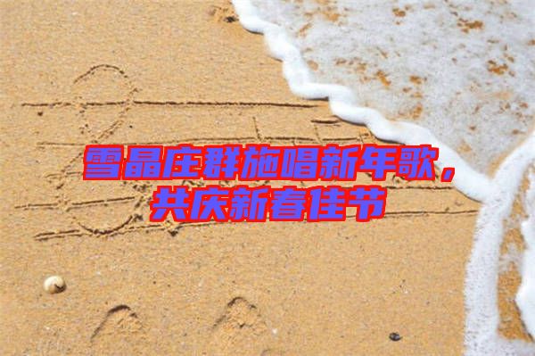 雪晶莊群施唱新年歌，共慶新春佳節