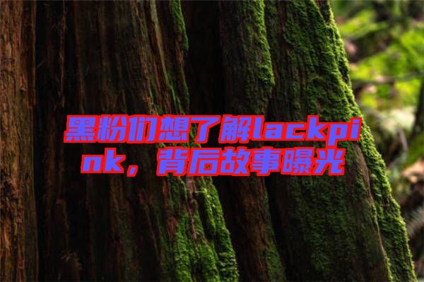 黑粉們想了解lackpink，背后故事曝光