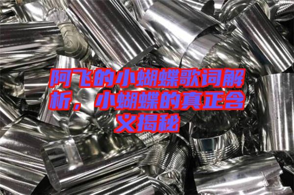 阿飛的小蝴蝶歌詞解析,小蝴蝶的真正含義揭秘