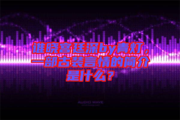 誰曉宮廷深by青燈，一部古裝言情的簡介是什么？