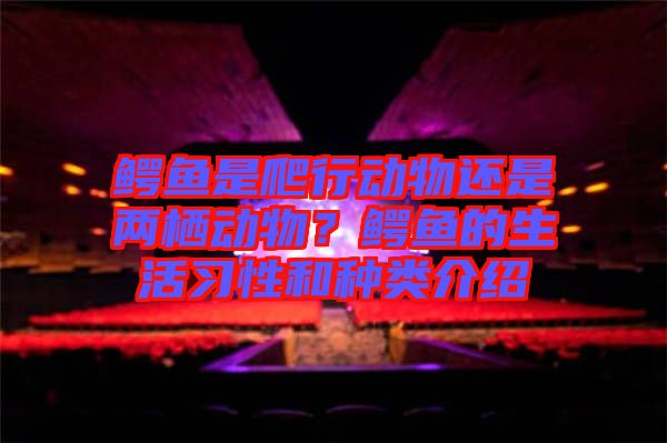 鱷魚是爬行動物還是兩棲動物?鱷魚的生活習性和種類介紹