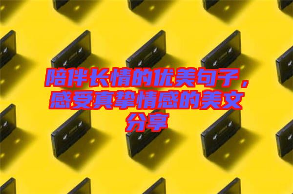 陪伴長情的優美句子，感受真摯情感的美文分享