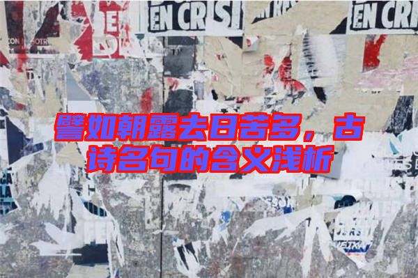譬如朝露去日苦多,古詩名句的含義淺析