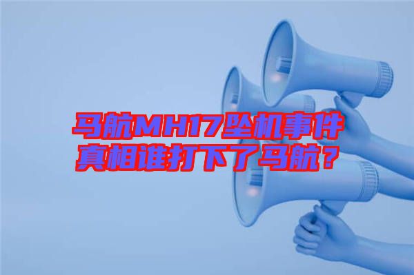 馬航MH17墜機事件真相誰打下了馬航?
