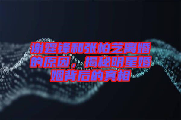 謝霆鋒和張柏芝離婚的原因,揭秘明星婚姻背后的真相