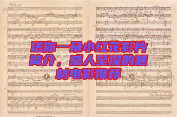 送你一朵小紅花影片簡介，感人至深的題材電影推薦