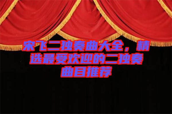 宋飛二獨奏曲大全,精選最受歡迎的二獨奏曲目推薦