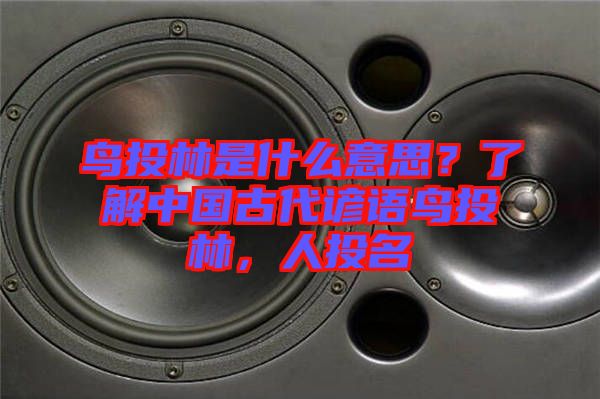 鳥投林是什么意思?了解中國(guó)古代諺語(yǔ)鳥投林,人投名