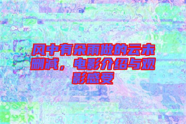 風中有朵雨做的云未刪減，電影介紹與觀影感受