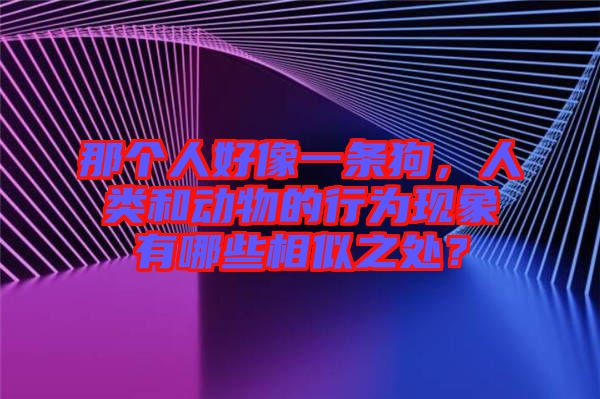那個人好像一條狗,人類和動物的行為現象有哪些相似之處?