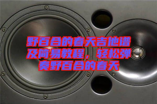 野百合的春天吉他譜及簡(jiǎn)易教程,輕松彈奏野百合的春天