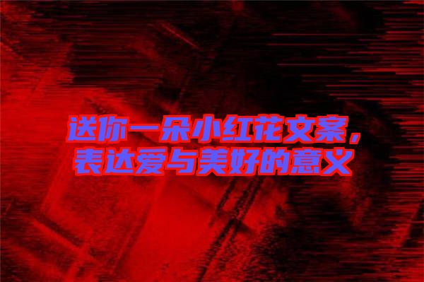 送你一朵小紅花文案，表達愛與美好的意義