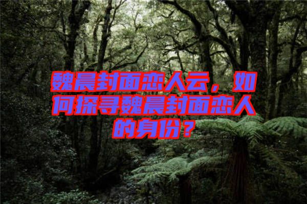 魏晨封面戀人云，如何探尋魏晨封面戀人的身份？