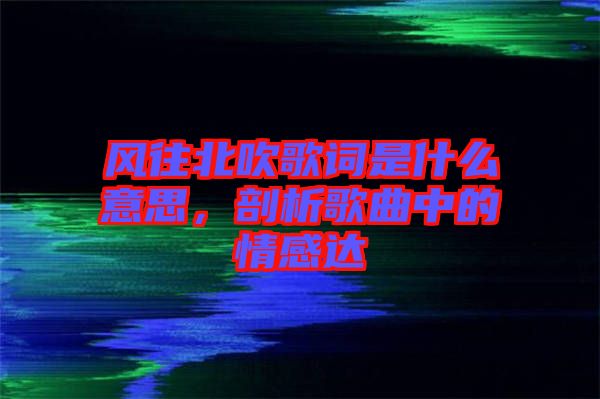 風往北吹歌詞是什么意思,剖析歌曲中的情感達