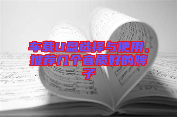 車載U盤選擇與使用,推薦幾個(gè)音質(zhì)好的牌子