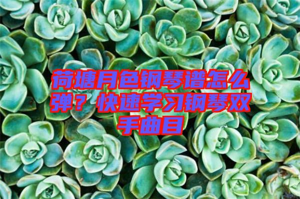 荷塘月色鋼琴譜怎么彈?快速學(xué)習(xí)鋼琴雙手曲目