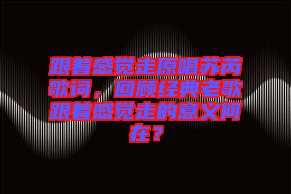跟著感覺走原唱蘇芮歌詞,回顧經典老歌跟著感覺走的意義何在?