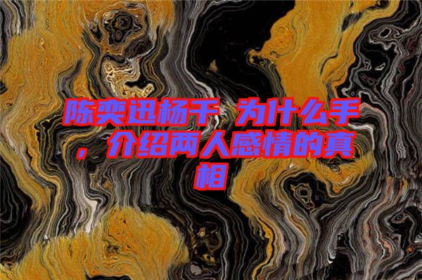 陳奕迅楊千嬅為什么手,介紹兩人感情的真相
