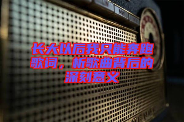 長大以后我只能奔跑歌詞,析歌曲背后的深刻意義