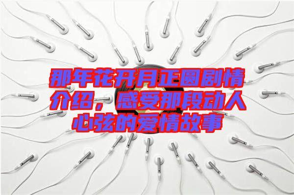 那年花開月正圓劇情介紹，感受那段動人心弦的愛情故事