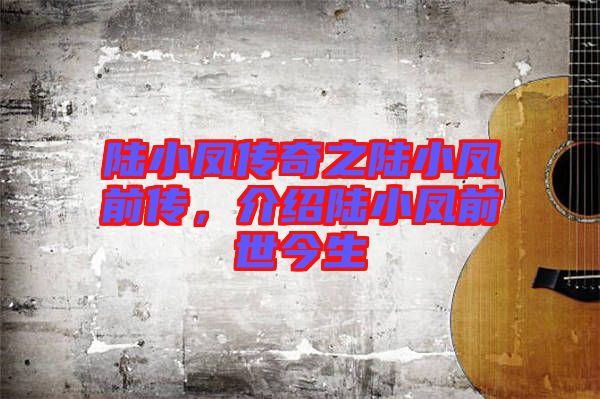 陸小鳳傳奇之陸小鳳前傳,介紹陸小鳳前世今生