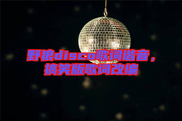 野狼disco歌詞諧音,搞笑版歌詞改編