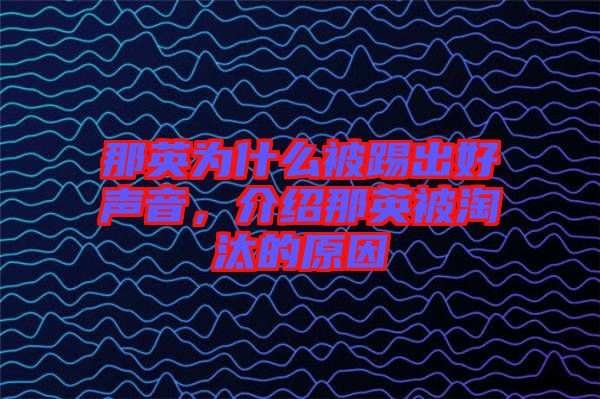 那英為什么被踢出好聲音,介紹那英被淘汰的原因