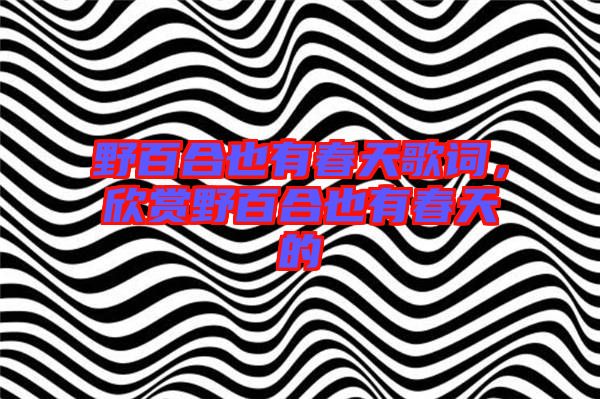 野百合也有春天歌詞,欣賞野百合也有春天的