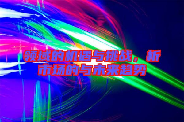 領域的機遇與挑戰,析市場的與未來趨勢