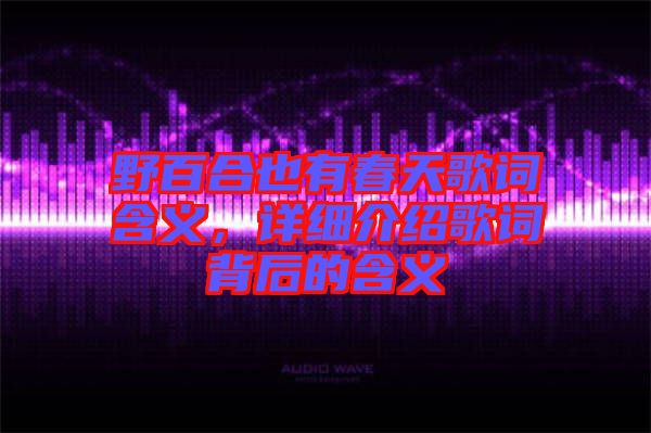 野百合也有春天歌詞含義,詳細介紹歌詞背后的含義